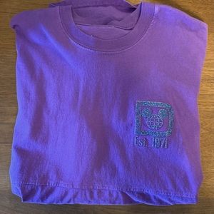 Walt Disney World Spirit Jersey